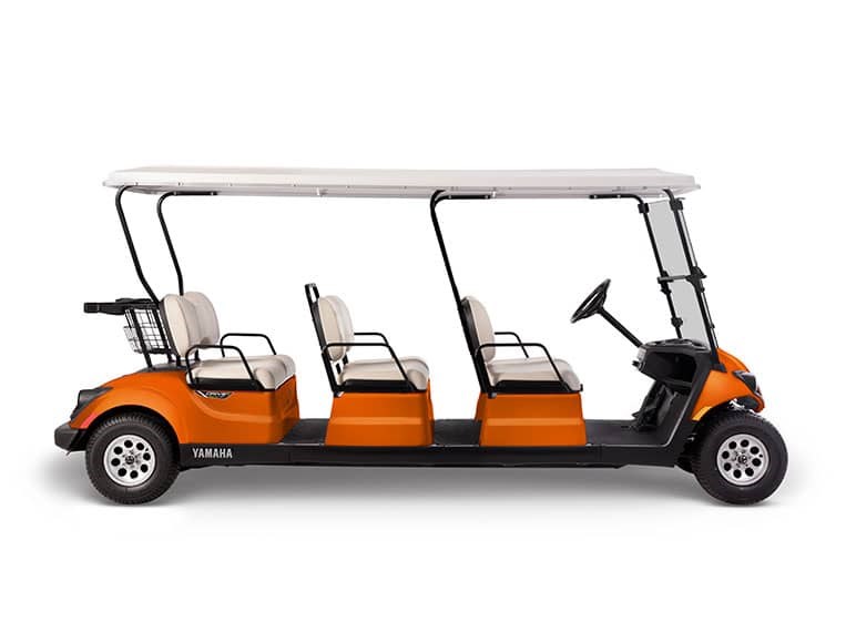 2020 Golf Cart Golf Cart