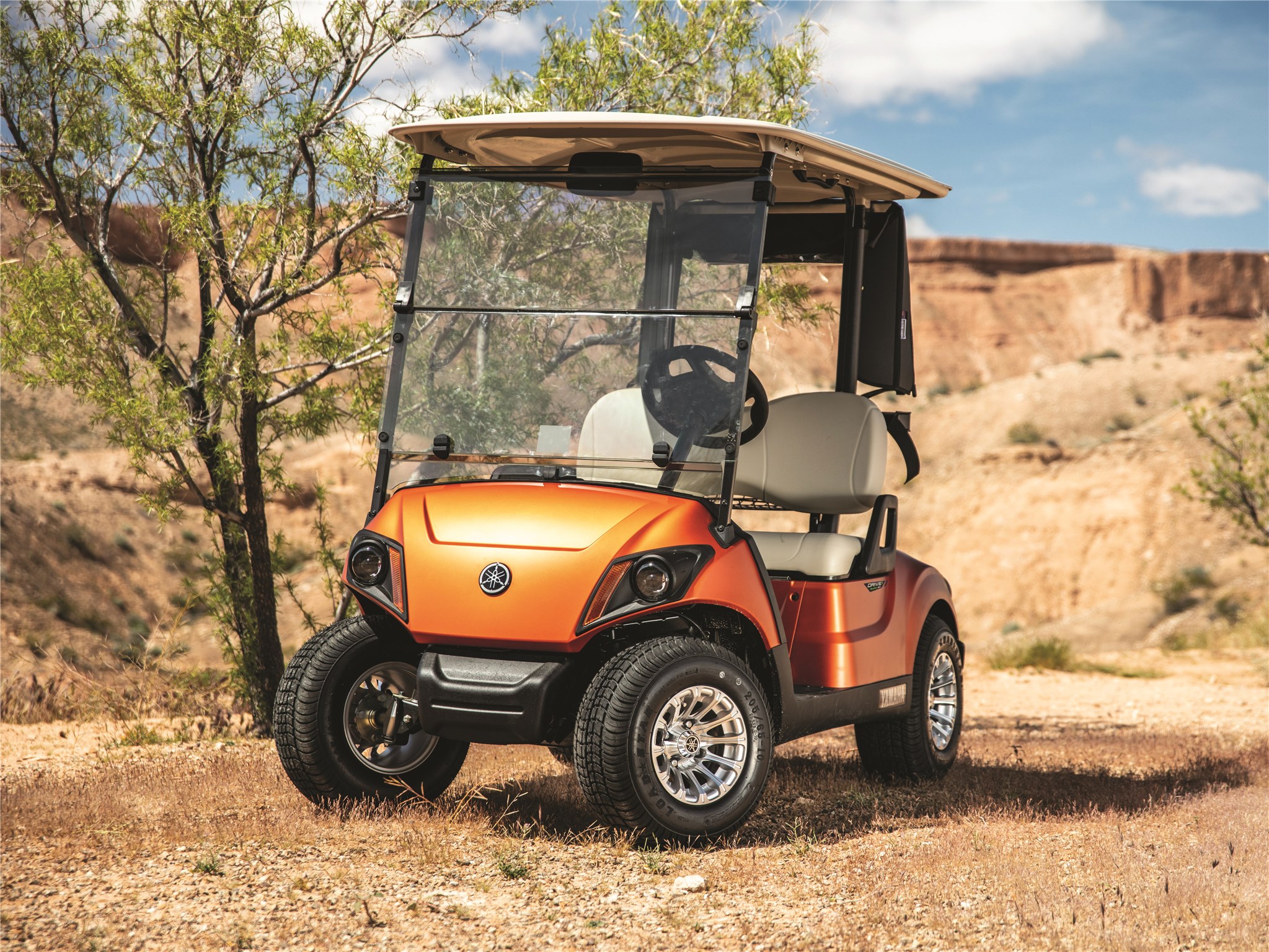 The 13 Best Golf Carts on the Market in 2024